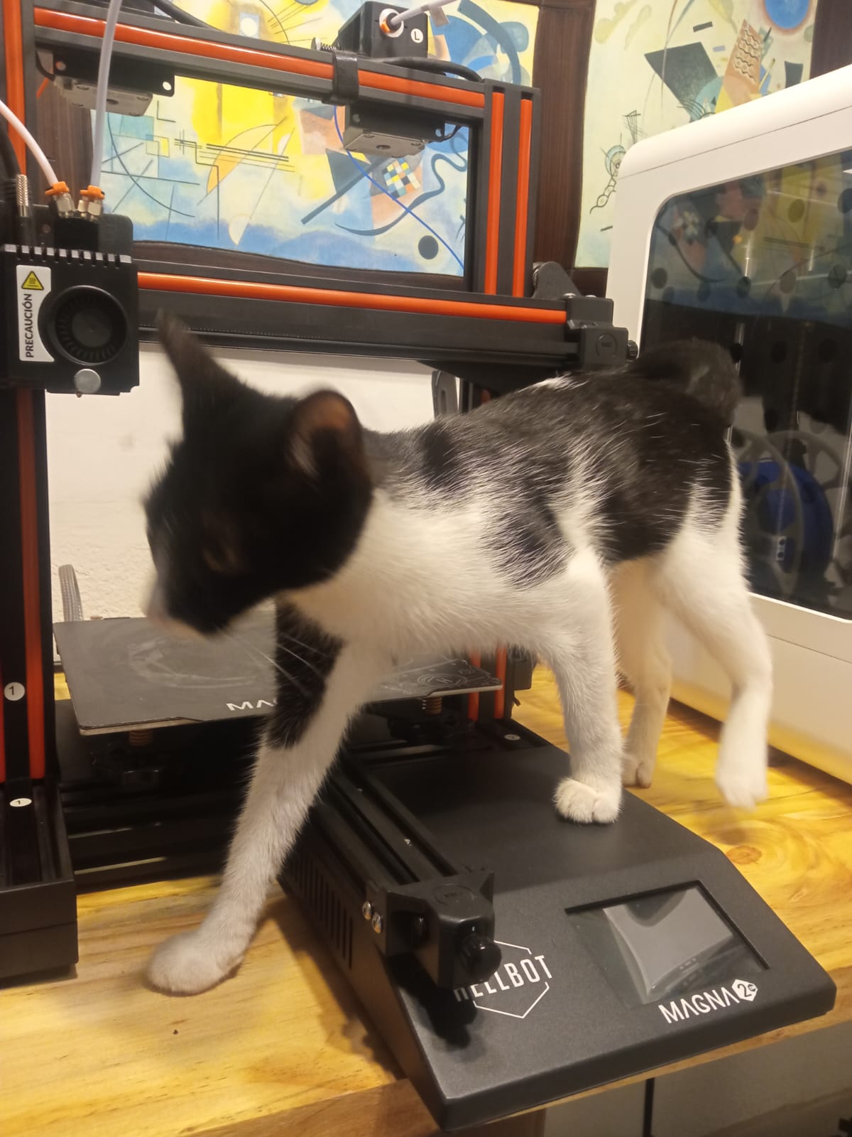 Impresoras 3D y gato